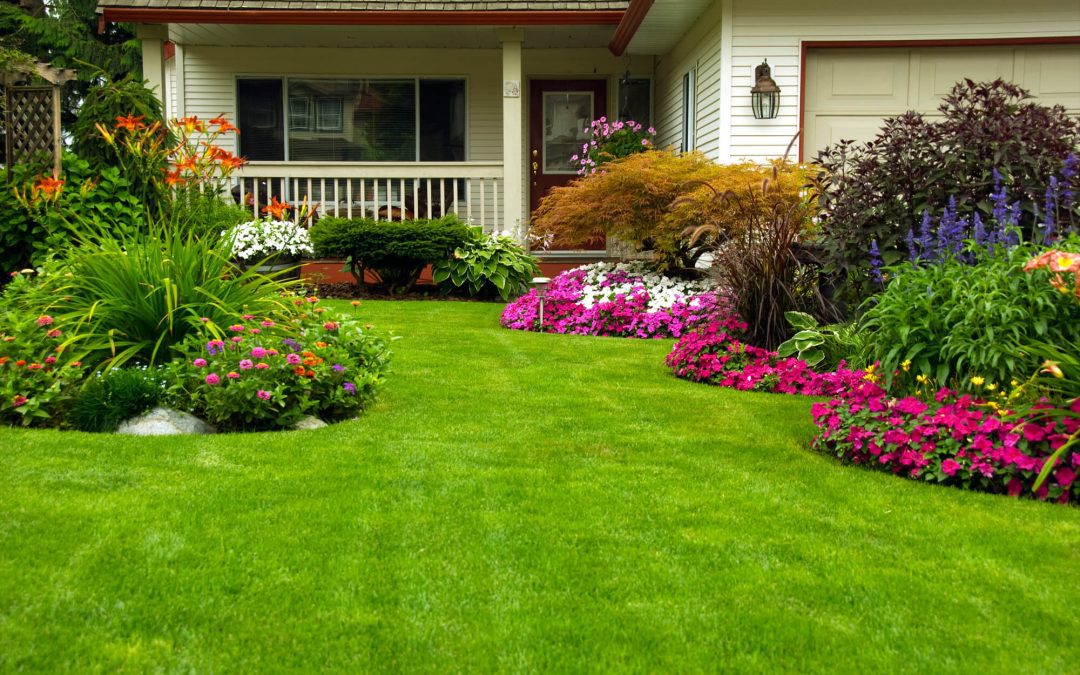 Revitalize Your Space: How to Prepare Your Home for Spring