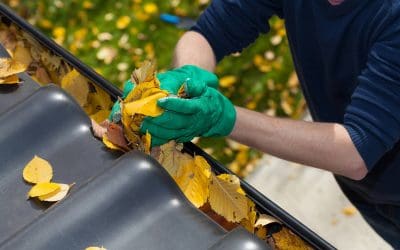 How to Clean Your Gutters Like a Pro: A Step-by-Step Guide